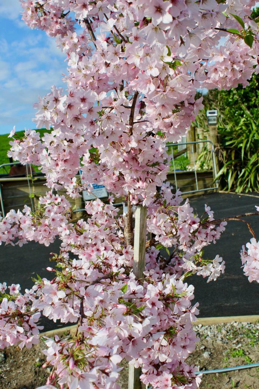 Arohanui Rural Retreat B&B Tauranga Bagian luar foto