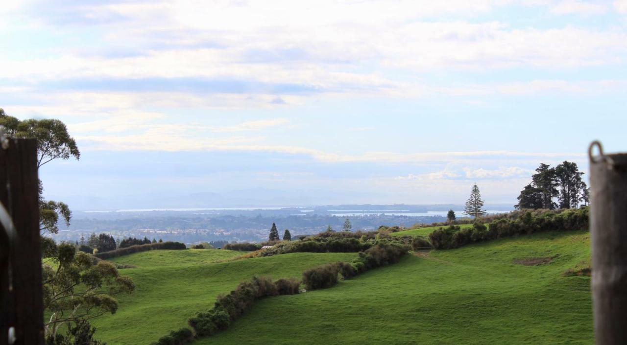 Arohanui Rural Retreat B&B Tauranga Bagian luar foto