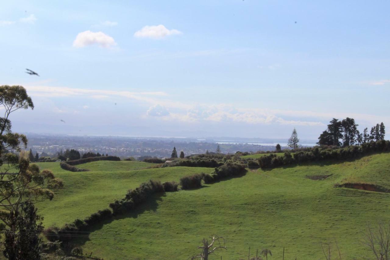 Arohanui Rural Retreat B&B Tauranga Bagian luar foto